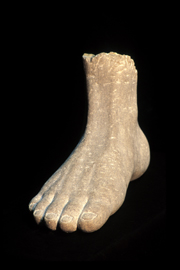 Fuß