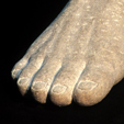 Fuß