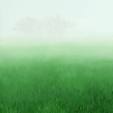 Morgennebel