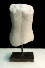 Torso