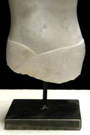 Torso