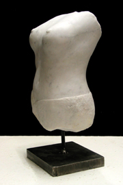 Torso