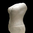 Torso